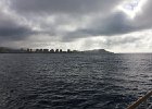 WhaleWatching 005